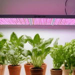 Best LED Grow Lights
