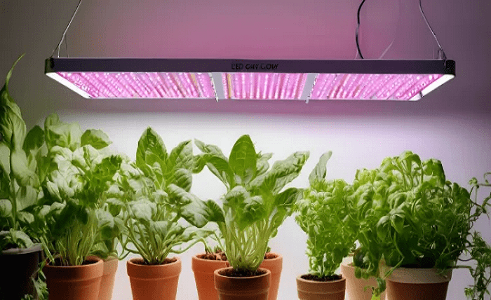 Best LED Grow Lights