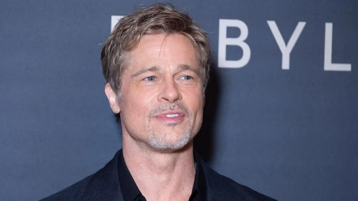 Brad Pitt Net Worth in 2024 Small
