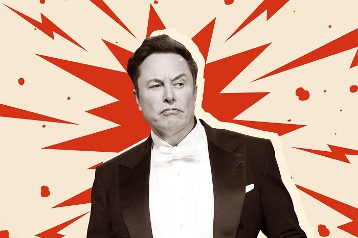 Elon Musk Early Life and Career Beginnings 2