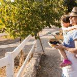 Wine Tours in Limassol: Exploring the Best Vineyards and Wineries