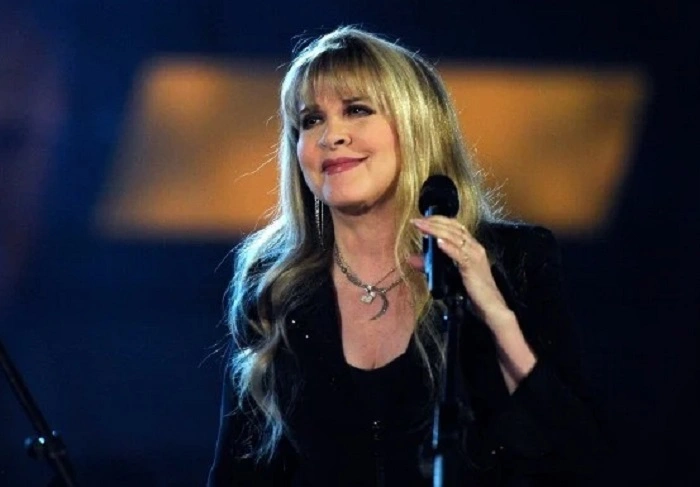 Stevie Nicks Net worth 5