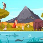 Biological Adaptations in Wild Animals