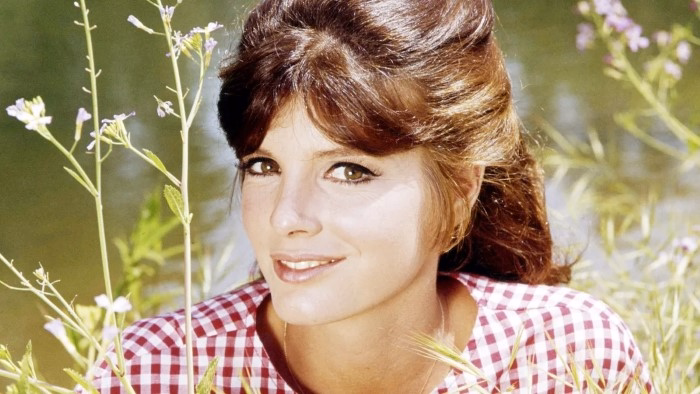 katharine ross net worth 1