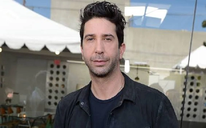 David Schwimmer Net Worths