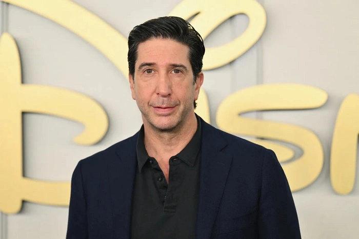David Schwimmer friends t