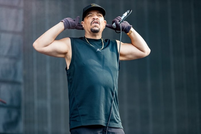 Ice T Beginning of the Career