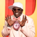 flavor flav net worth