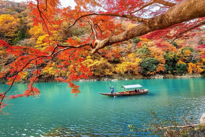 5 Romantic Winter Evenings in Kyoto for Couples